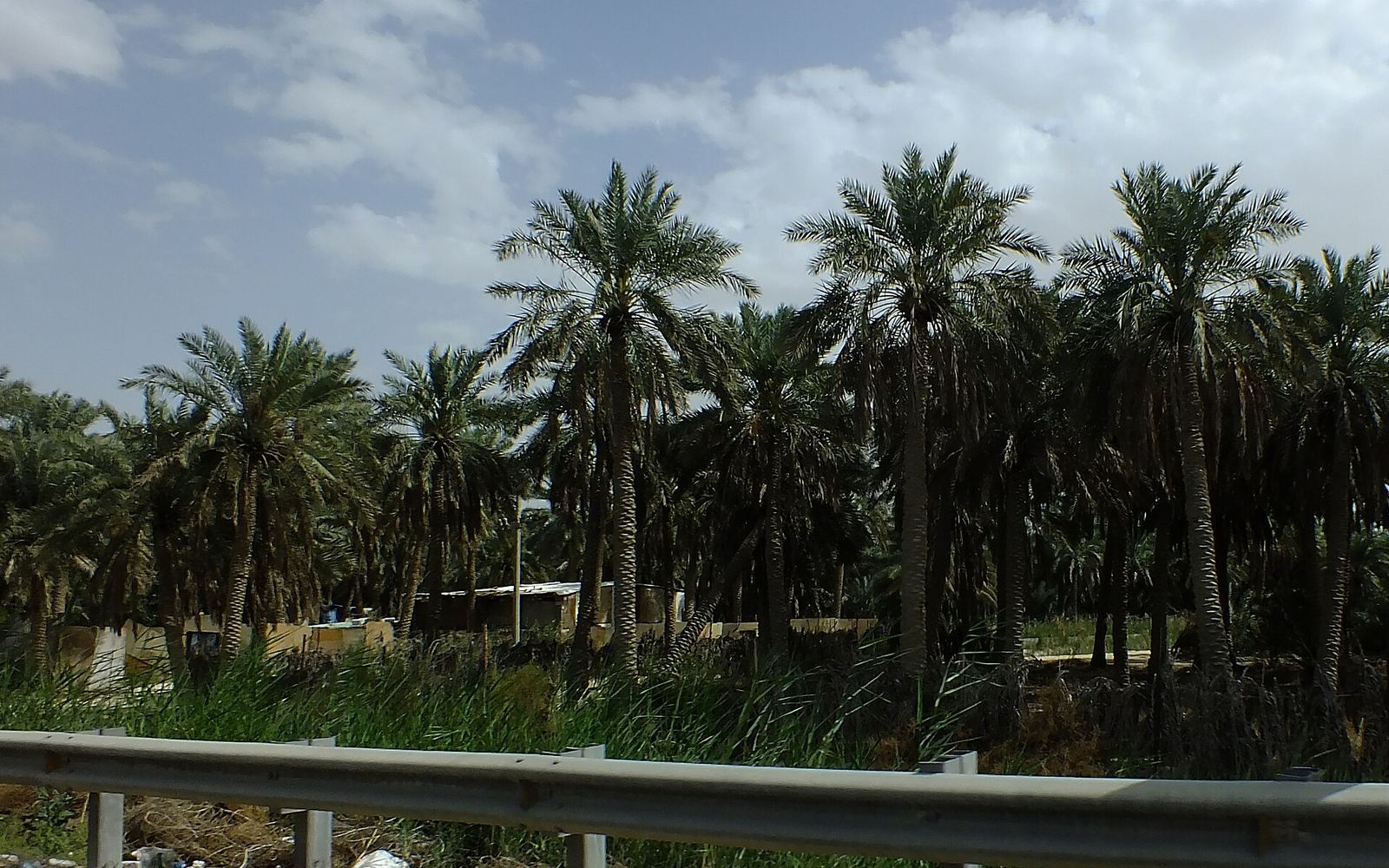 Al-Ahsa